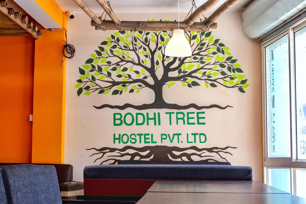 Bodhi Tree Hostel Katmandu Eksteriør billede