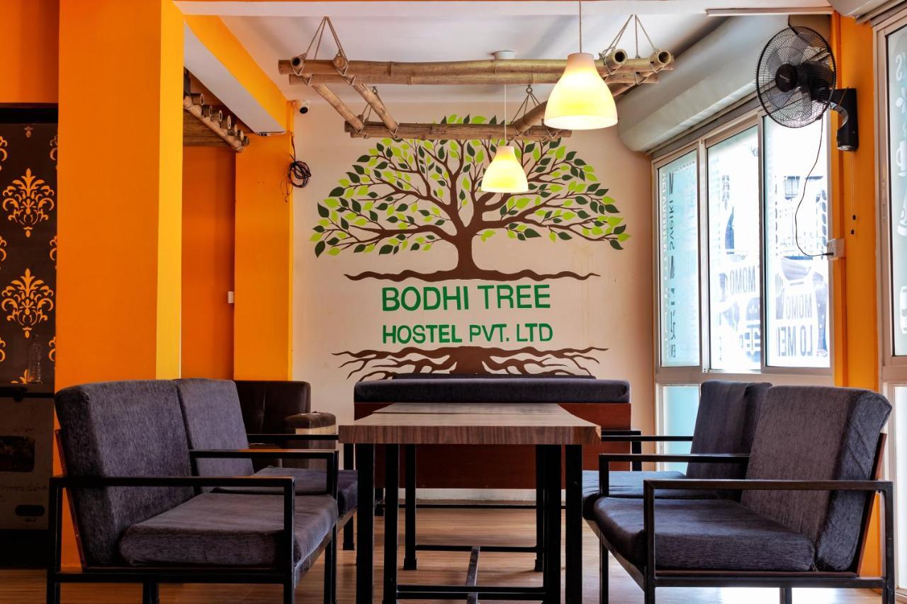 Bodhi Tree Hostel Katmandu Eksteriør billede