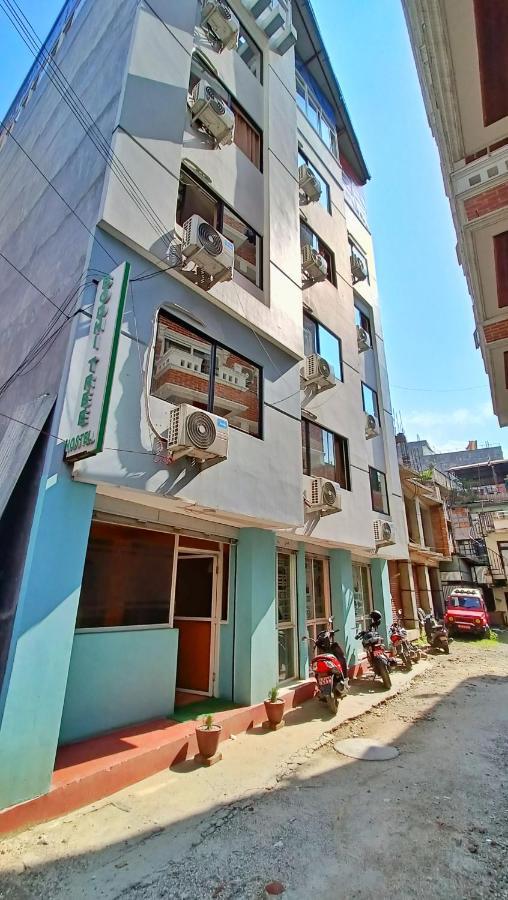 Bodhi Tree Hostel Katmandu Eksteriør billede